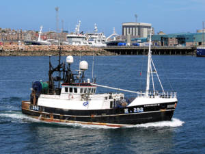 Courageous Peterhead Scotland