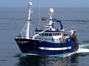 Favonius Peterhead Scotland