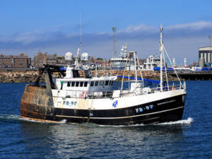 Summer Dawn in Peterhead Harbour