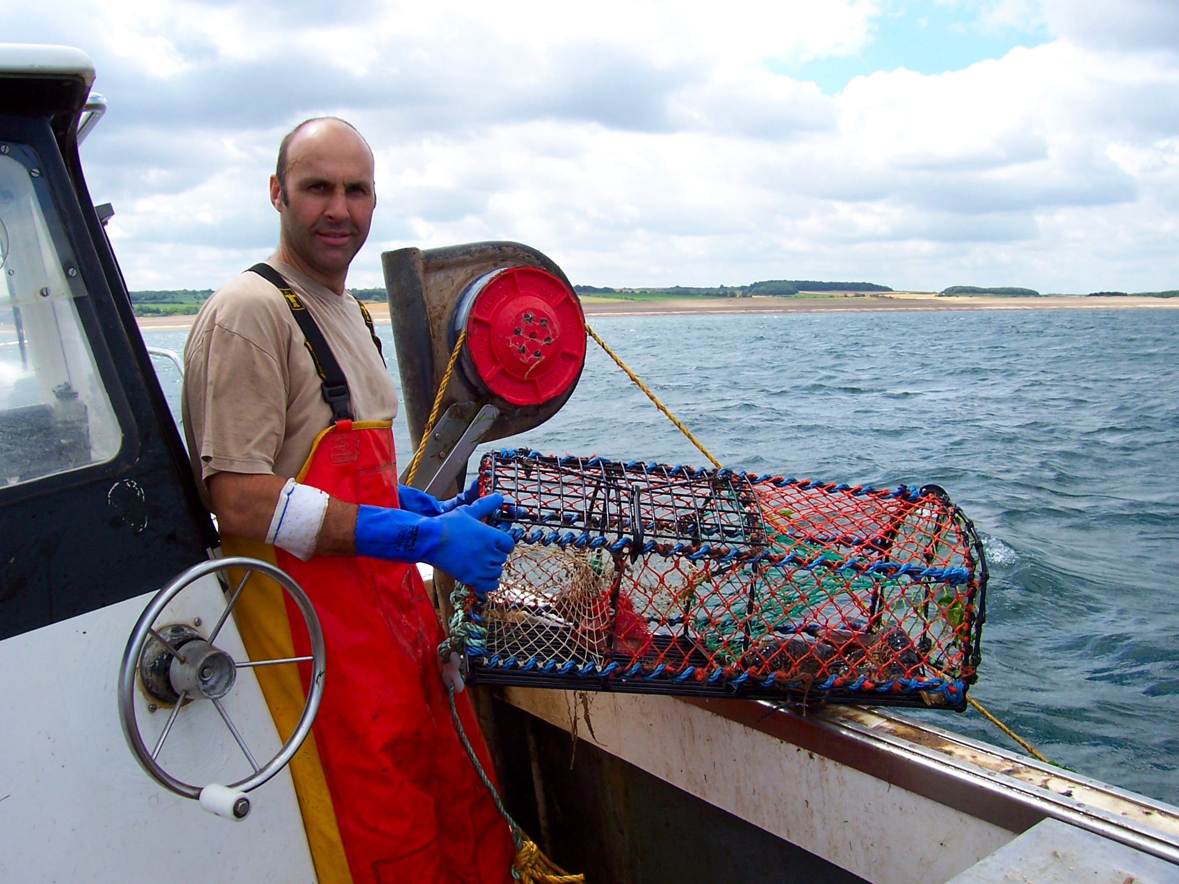 Pot Caught Norfolk Lobsters