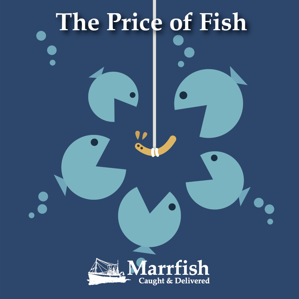 Marrfish Blog