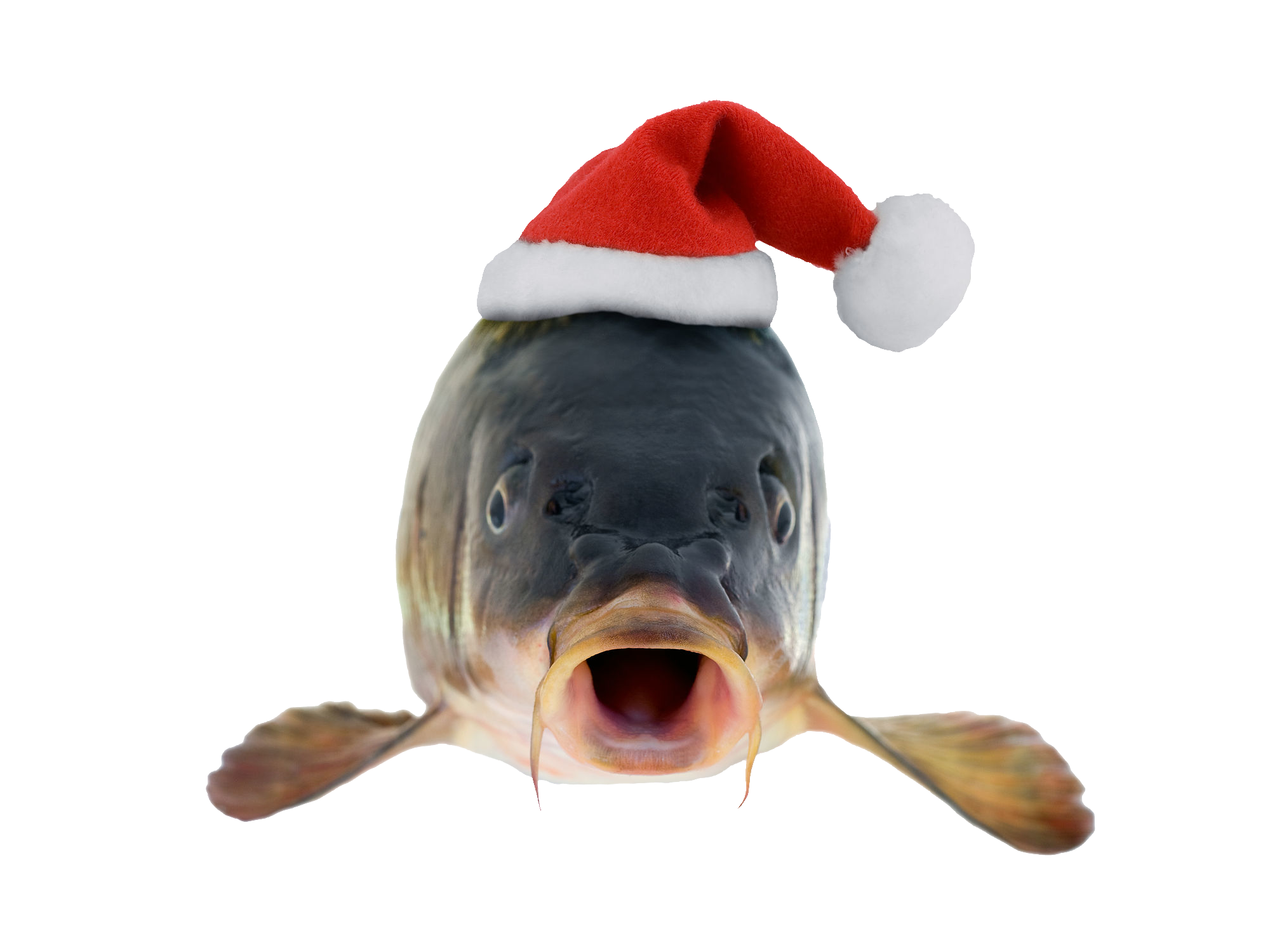 Christmas Wholesale Fish