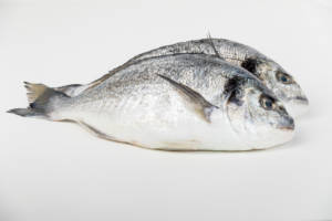Farmed Bream