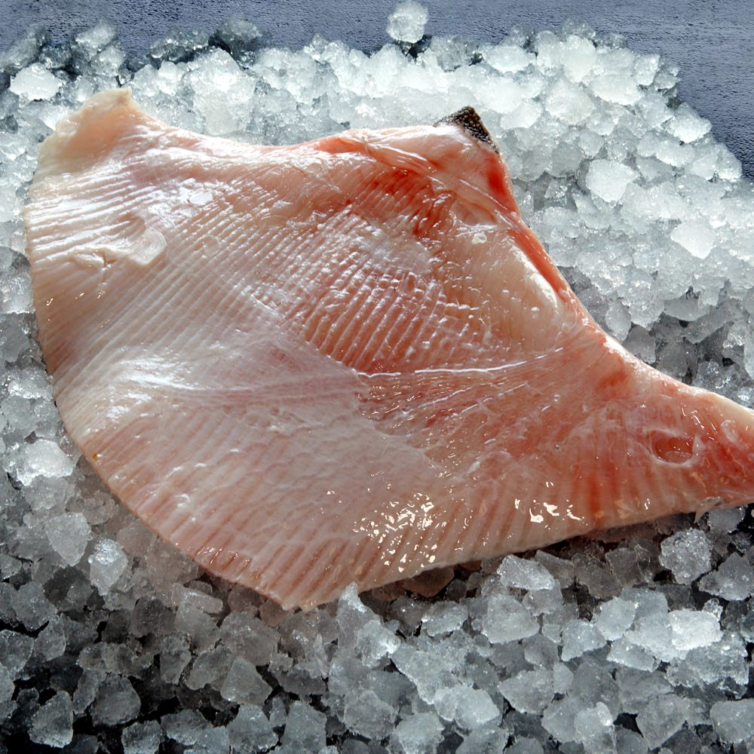 freshraywings Marrfish Wholesale Fish & Seafood Delivery