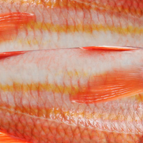 Wholesale Red Mullet
