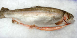 Wholesale Sea Reared Trout