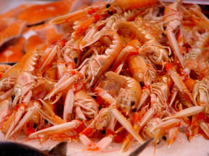 Iced Langoustines