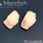 Monkfish1sml